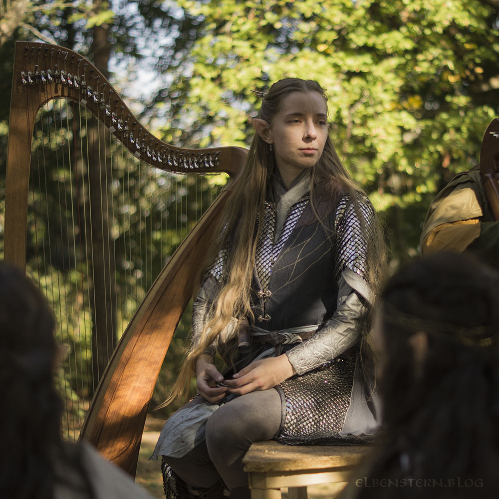 The Wandering Harpist